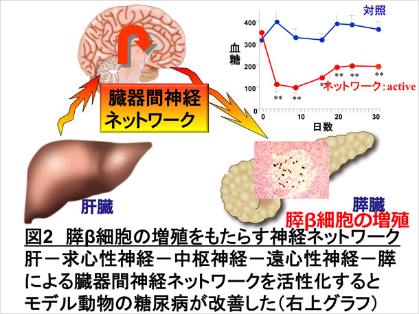 図2