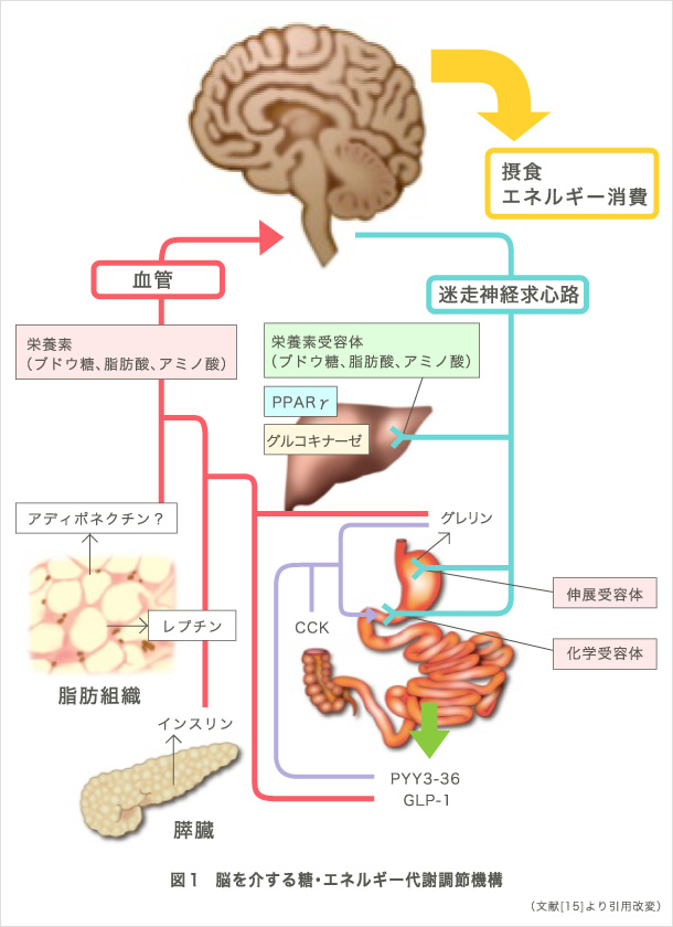 図1