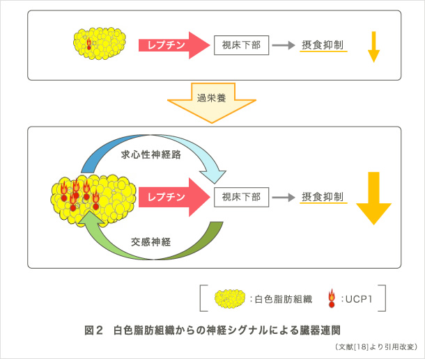 図2