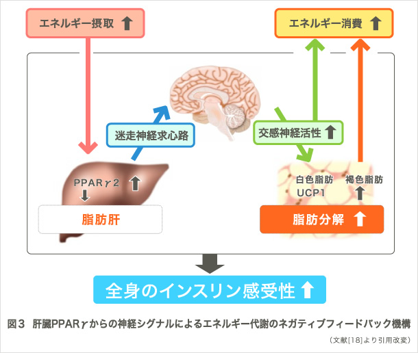 図3